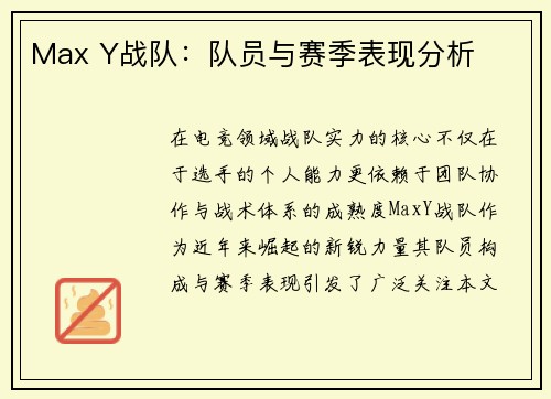 Max Y战队：队员与赛季表现分析